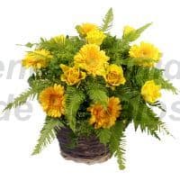 Arreglos de Flores | Arreglo de Margaitas Amarillas - Cod:VAT14