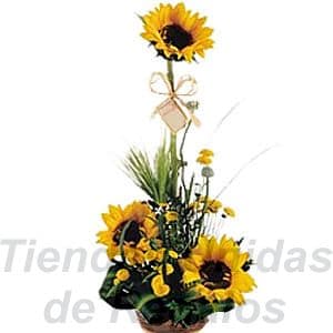 Girasoles Arreglo | Arreglo floral de Girasoles - Cod:XGR08