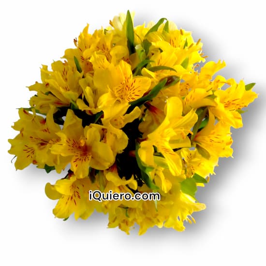 Arreglos Florales delivery en lima - Cod:VAT27