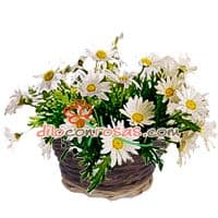 Arreglos Florales Lima  y Florerias Delivery en Callao Bellavista - Cod:VAT34